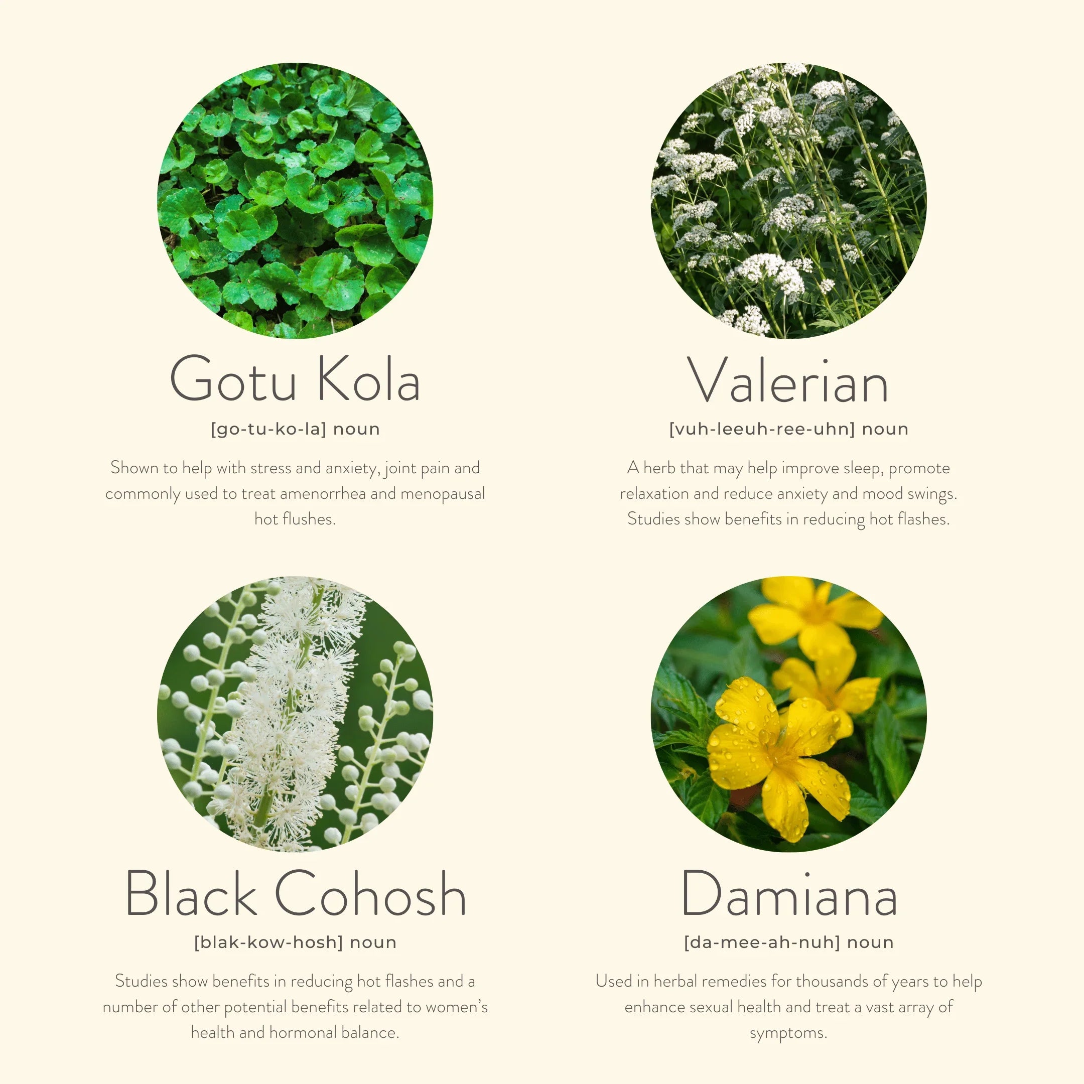 Patches Ultra CBD (50mg) – Équilibre & Sérénité Ménopause 🌸 kloris - MonSoinBienEtre