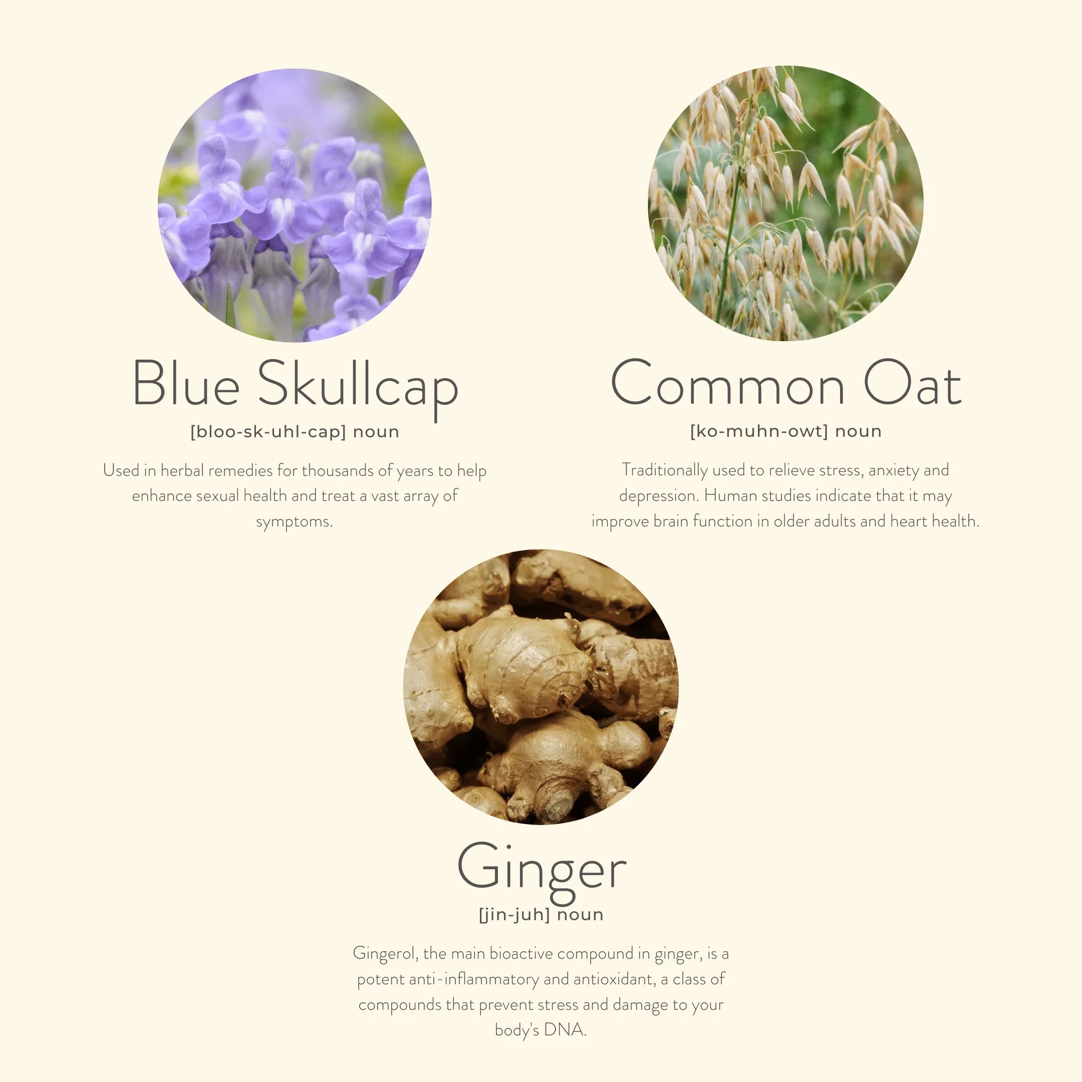 Patches Ultra CBD (50mg) – Équilibre & Sérénité Ménopause 🌸 kloris - MonSoinBienEtre