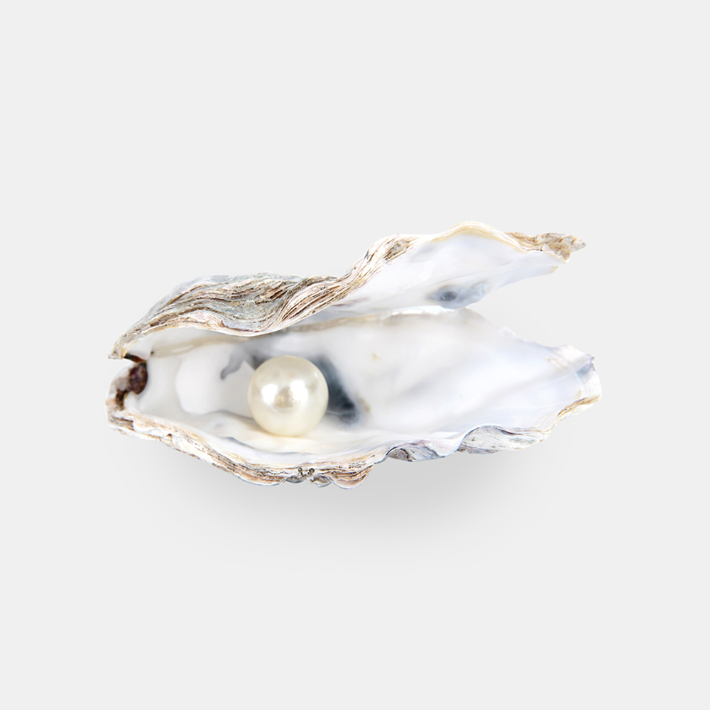 PERLE D'EAU DOUCE : Éclat Sublimé & Bouclier Urbain