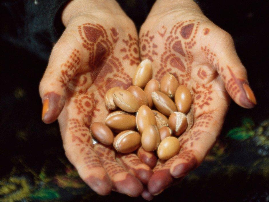 Huile d’Argan Bio Premium – Earth Sense Organics

Marque : Earth Sense Organics (Artisanat Français) - MonSoinBienEtre