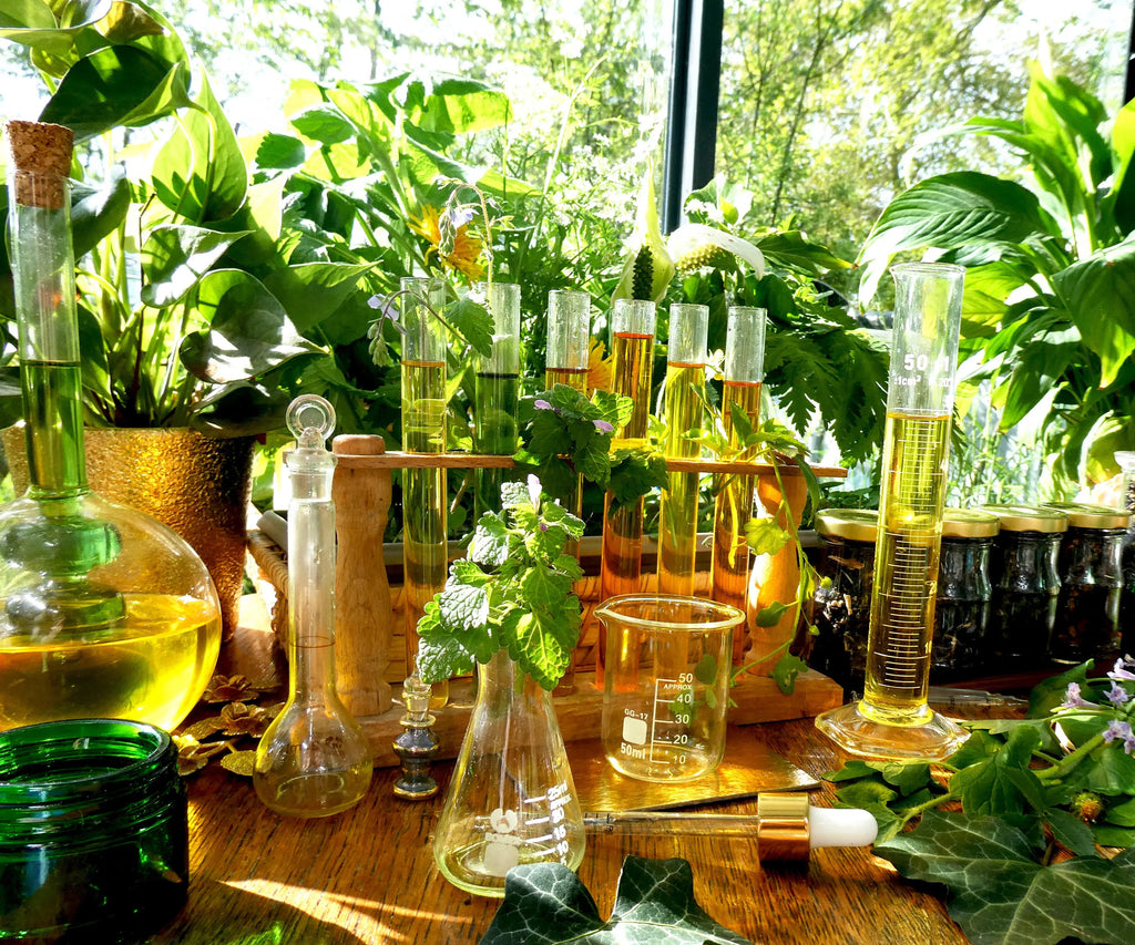 MERVEILLE DES LANDES BIO - Soin de peau Sensible Régénération Intégrale Visage-7