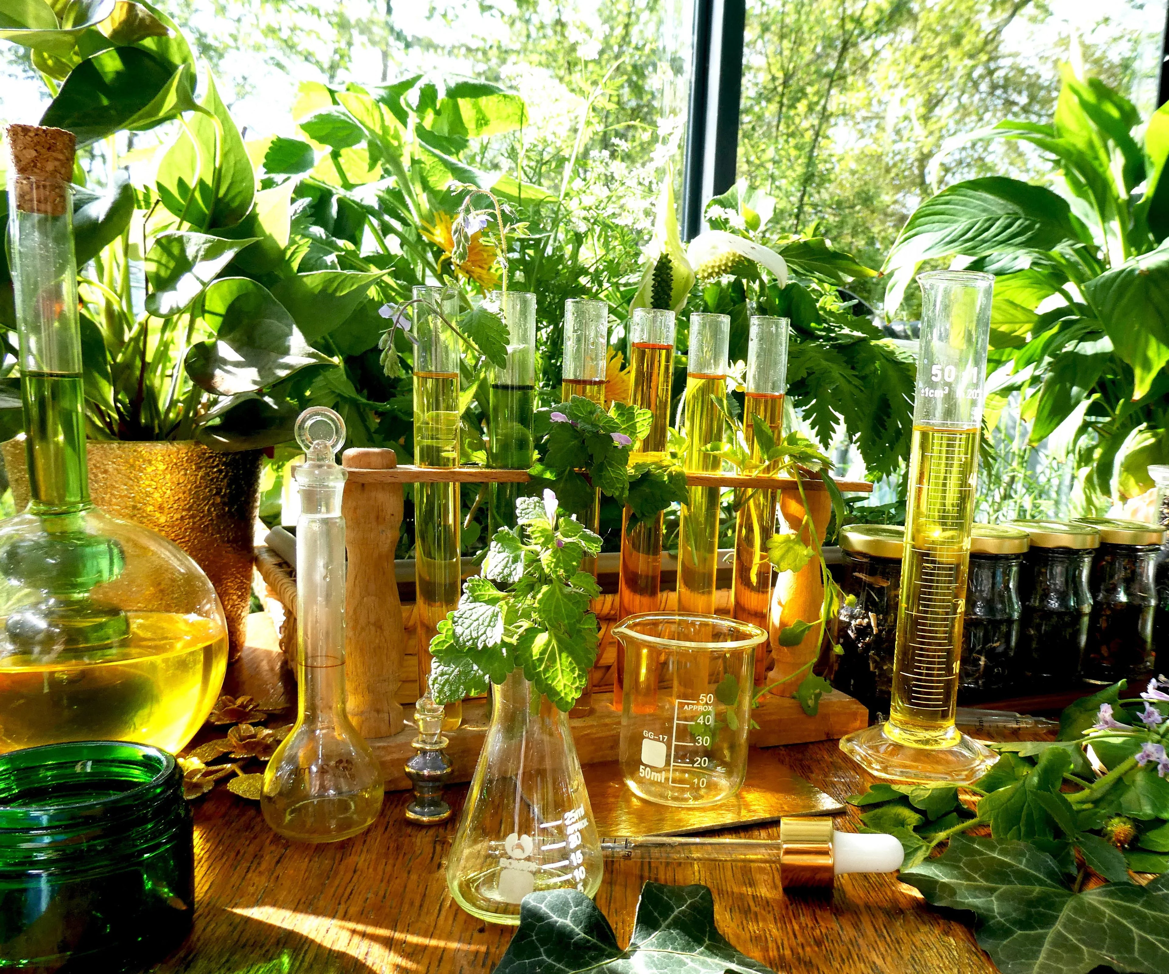 MERVEILLE DES LANDES BIO - Soin de peau Sensible Régénération Intégrale Visage-7